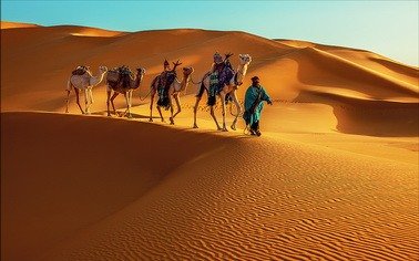 Тур в Тунис/Сказка Туниса из Одессы - TourExpert Отдых в Тунис/Сказка Туниса. Заказывайте Туры на сайте TourExpert